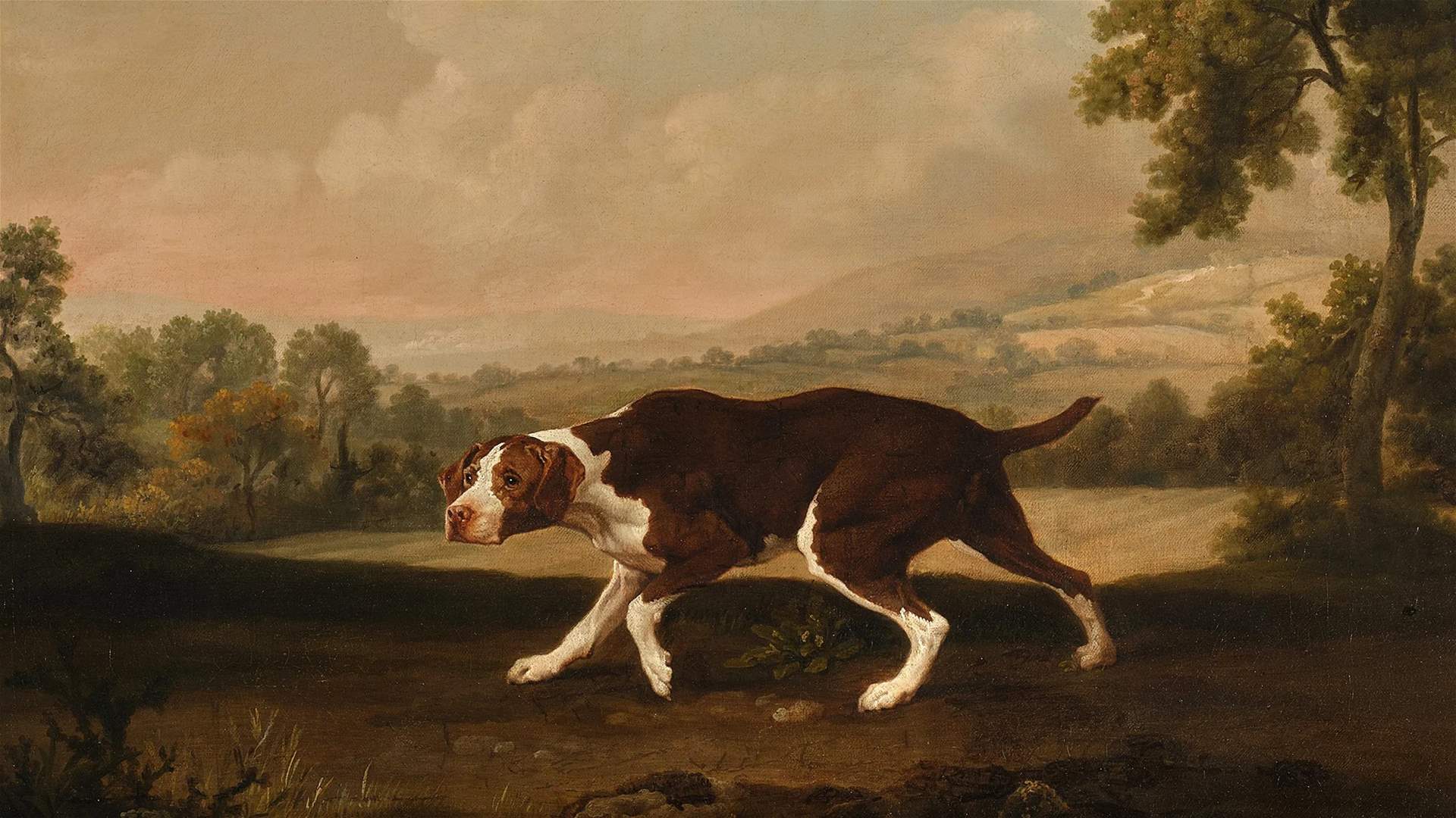 George Stubbs&#39; Dog Painting Expected to Fetch Up to $2.5 Million at Auction