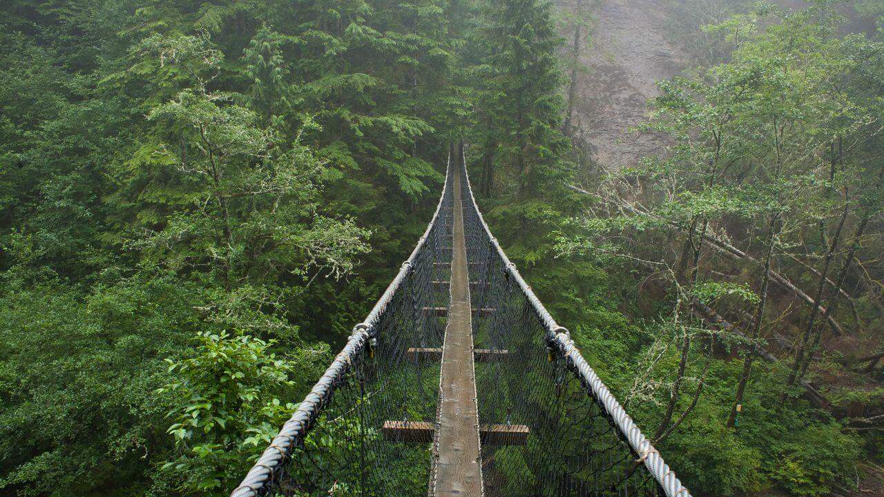 Logan Creek Suspension Bridge West Coast Trail, Canada