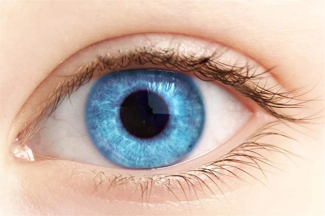 New Hope for Treatment for Leading Cause of Blindness After Research Breakthrough