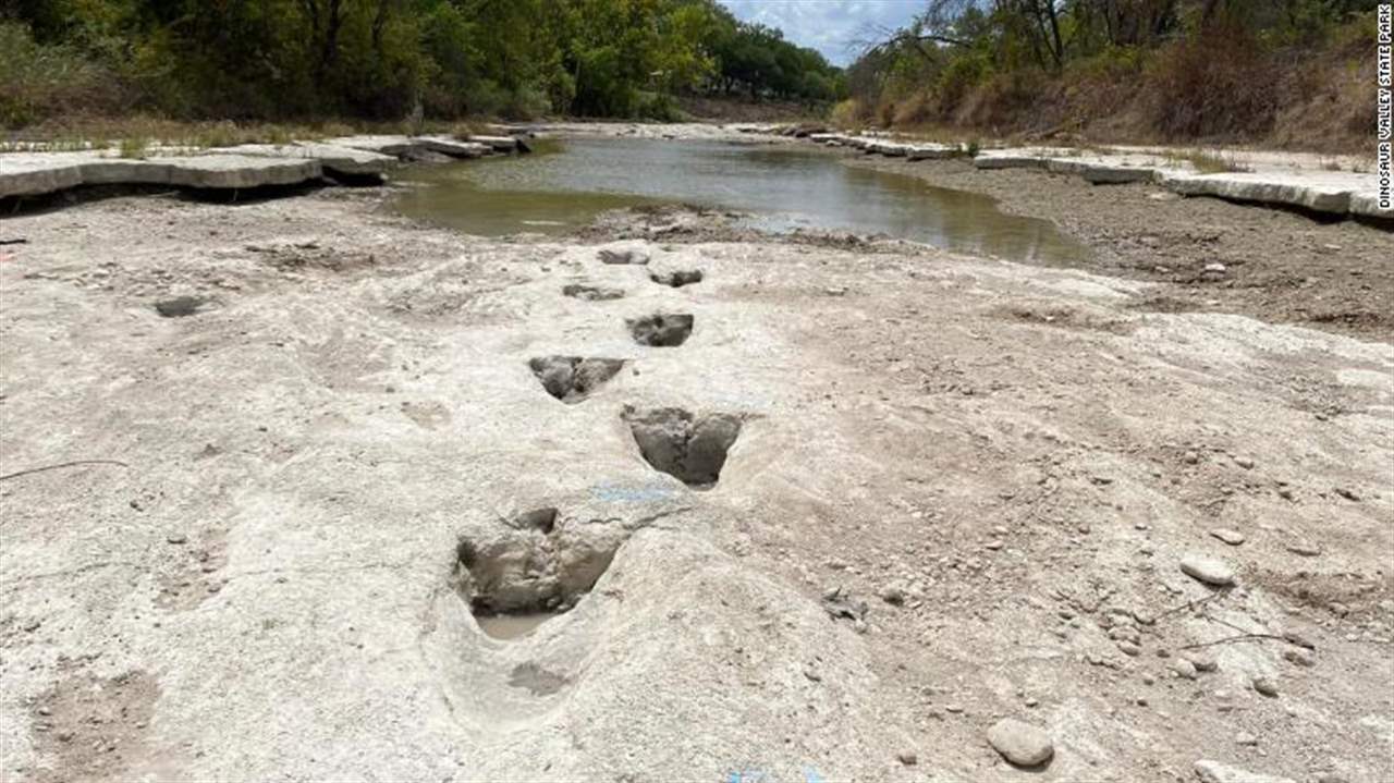 Video: Dinosaur tracks from 113 million years ago uncovered