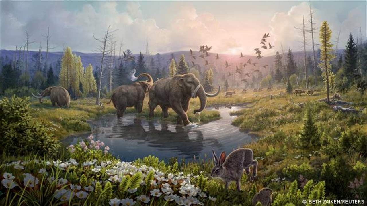 2-million-year-old DNA reveals an ancient Greenland ecosystem &quot;unlike any now found on Earth&quot;