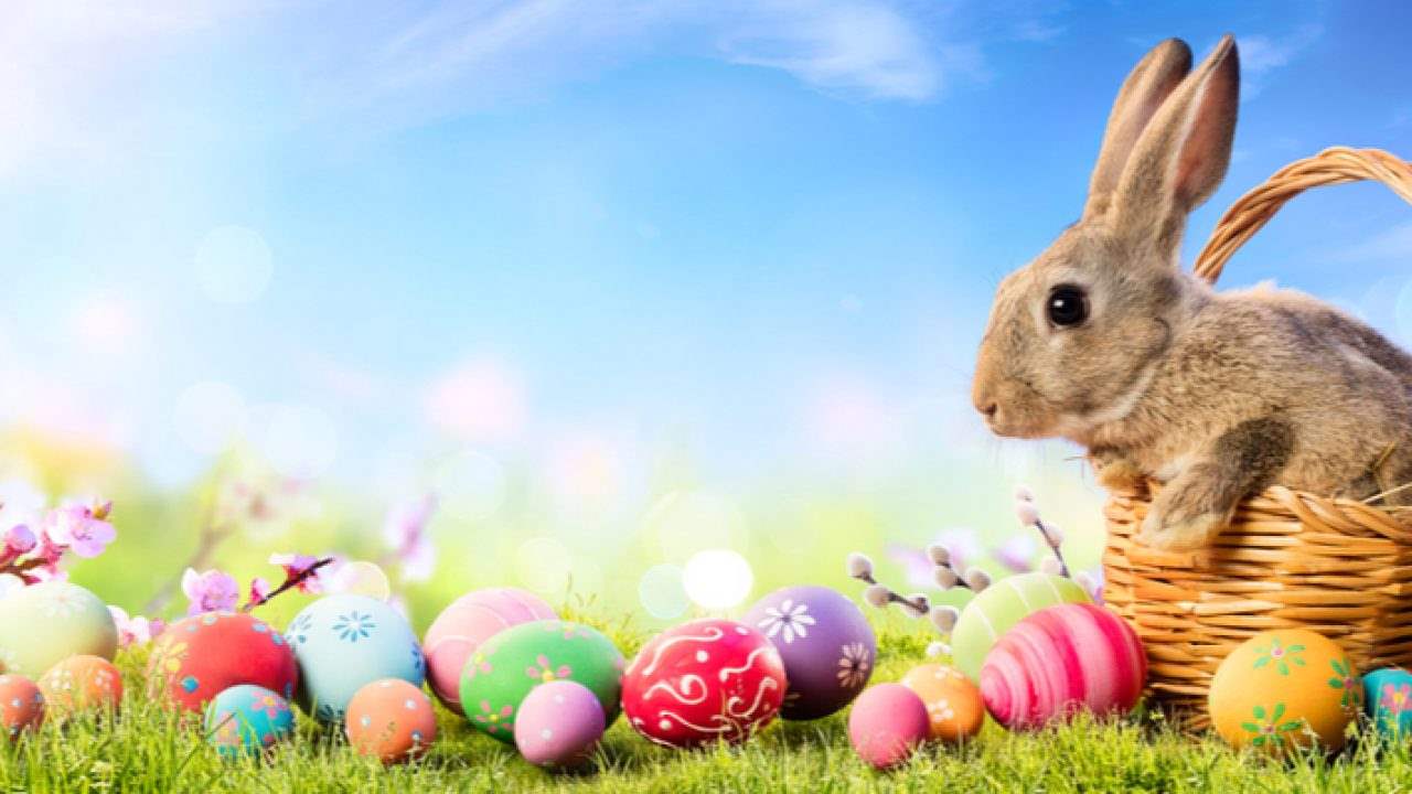 8 Proven Easter Promotion Ideas for eCommerce specialists!