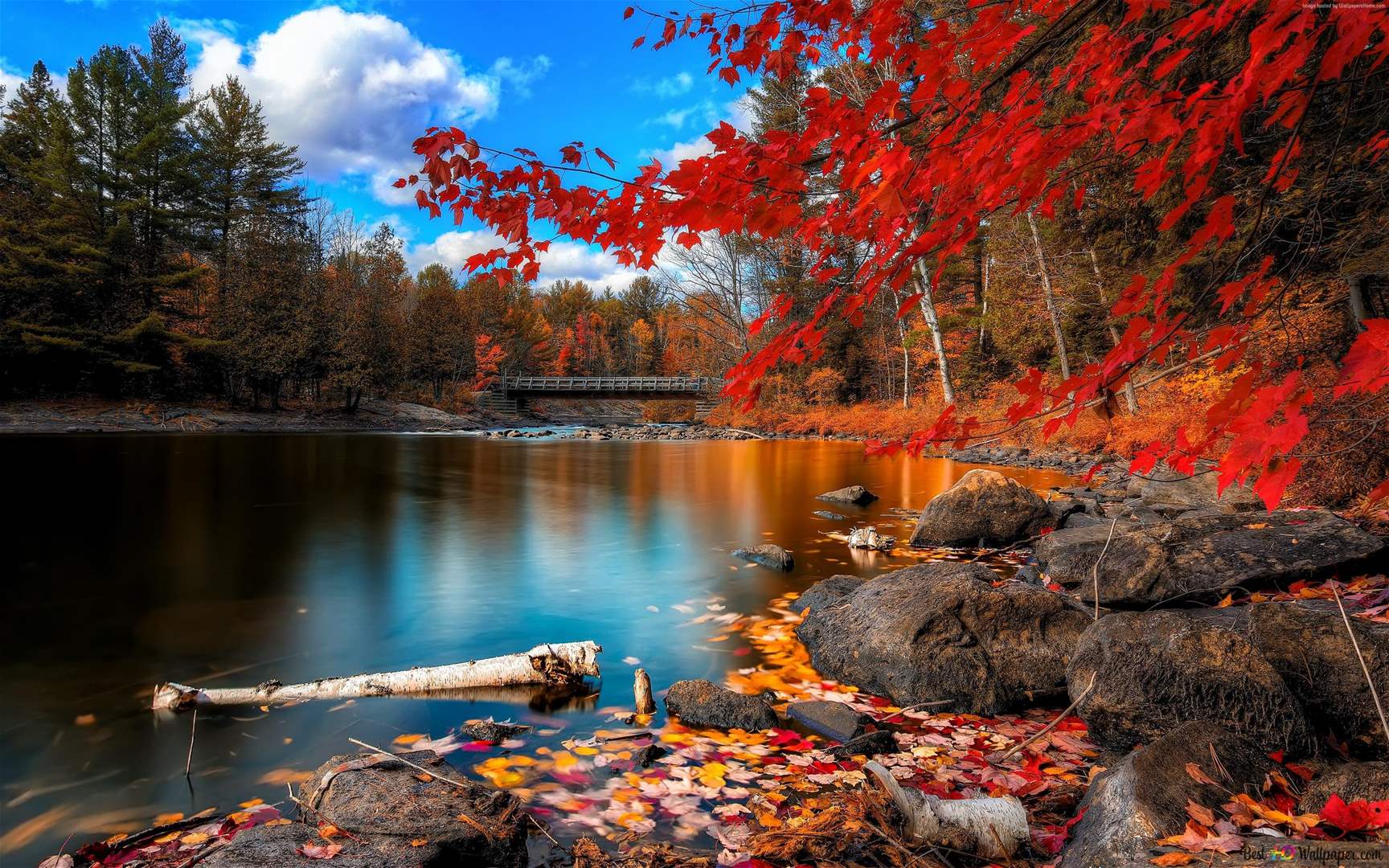 Discovering the Best Fall Destinations Worldwide
