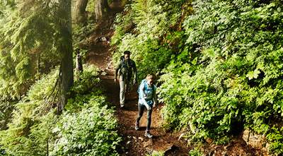 Embrace Nature&#39;s Path: 5 Benefits of Hiking