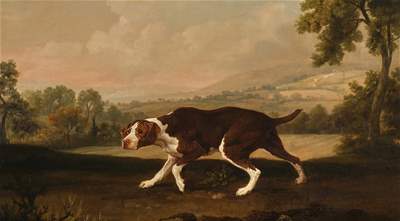 George Stubbs&#39; Dog Painting Expected to Fetch Up to $2.5 Million at Auction