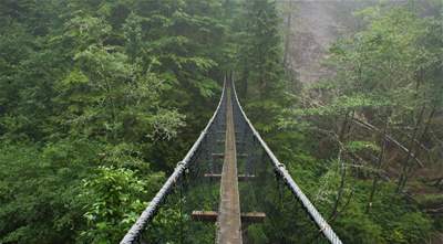 Logan Creek Suspension Bridge West Coast Trail, Canada