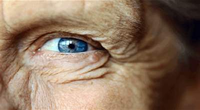 Breakthrough in vision research may help to prevent vision loss